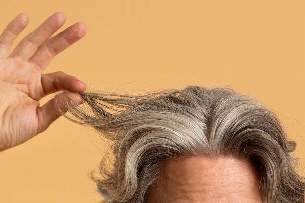 Canas - Hombre de abundante cabello canoso toma un mechón de pelo para dar cuenta de la calidad de sus fibras capilares 