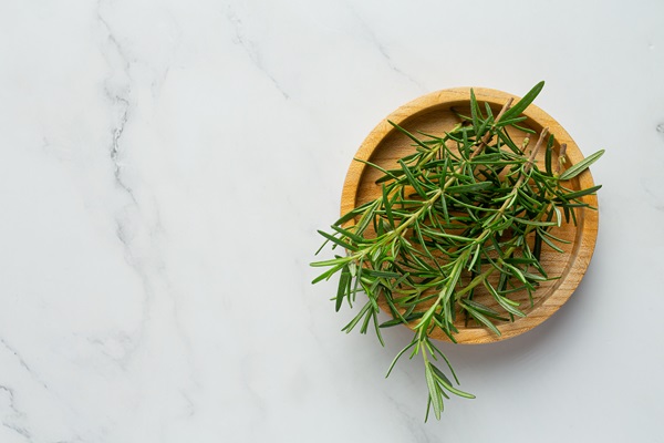 Ronquina para el pelo - Imagen con varias plantas de romero, la cual tiene muchas propiedades antioxidantes y previene la caída del cabello
