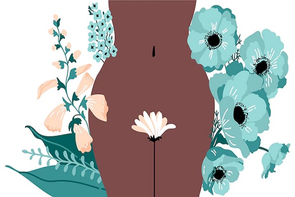 recuperar el pelo del pubis - dibujo de la parte inferior de una mujer desnuda tapadas con flores