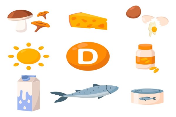 dibujo sobre la vitamina D, los alimentos que son ricos en vitamina D y el sol