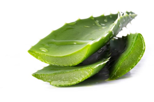 Beneficios del aloe vera en el pelo - hojas aloe vera cortadas y mojadas