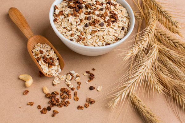 Tazón de avena silvestre como fuente de proteínas para promover la recuperación de los músculos