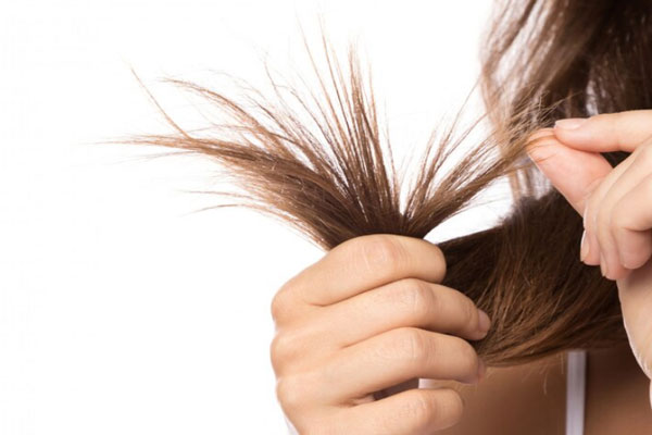 Desenredar el pelo - Plano detalle de puntas abiertas en una cabellera femenina 