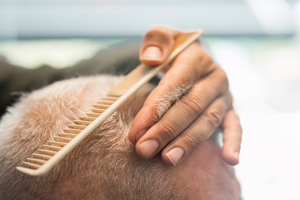 teñirse el pelo - hombre cortándose el cabello teñido tras un injerto capilar