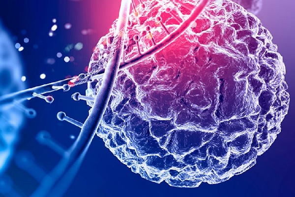 clonación capilar - Vista 3D de un cultivo de células madres para decirle adiós a la calvicie