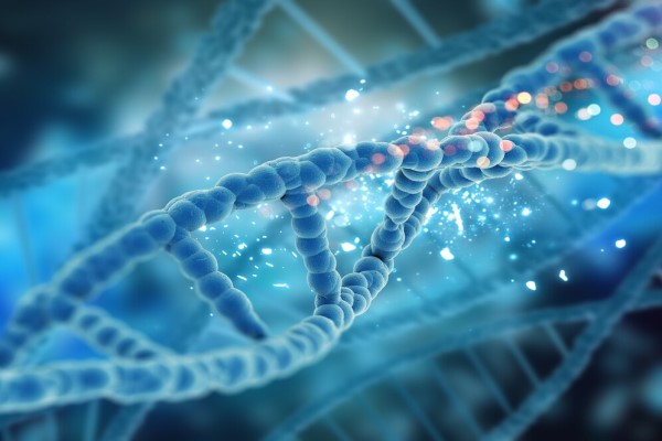 cadenas de genes
